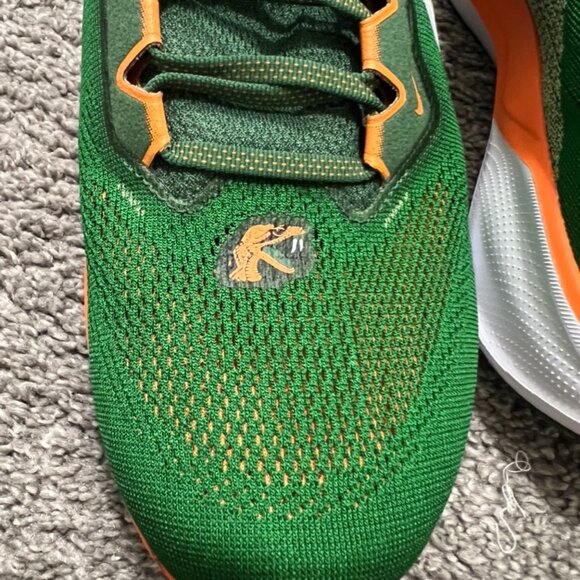 NIKE PEGASUS 41, FAMU SZ 10.5 - Picture 7 of 8